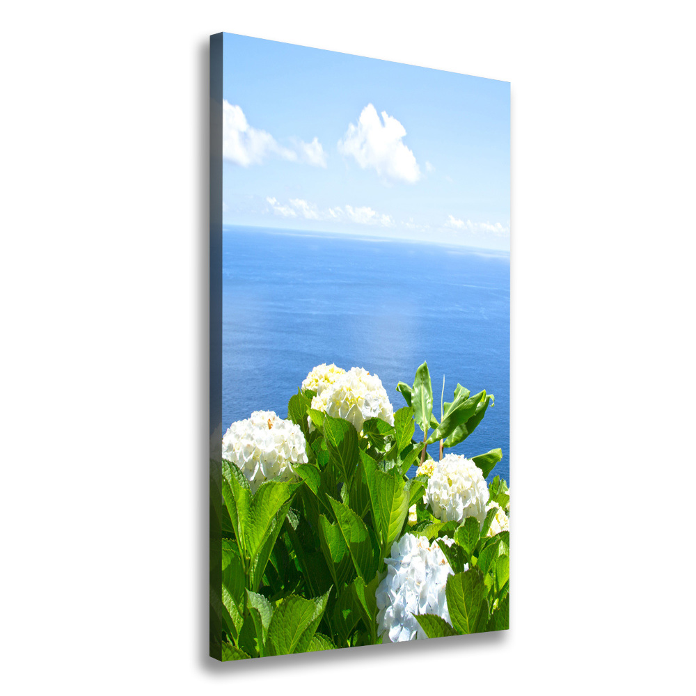 Tableau sur toile Hortensia de mer