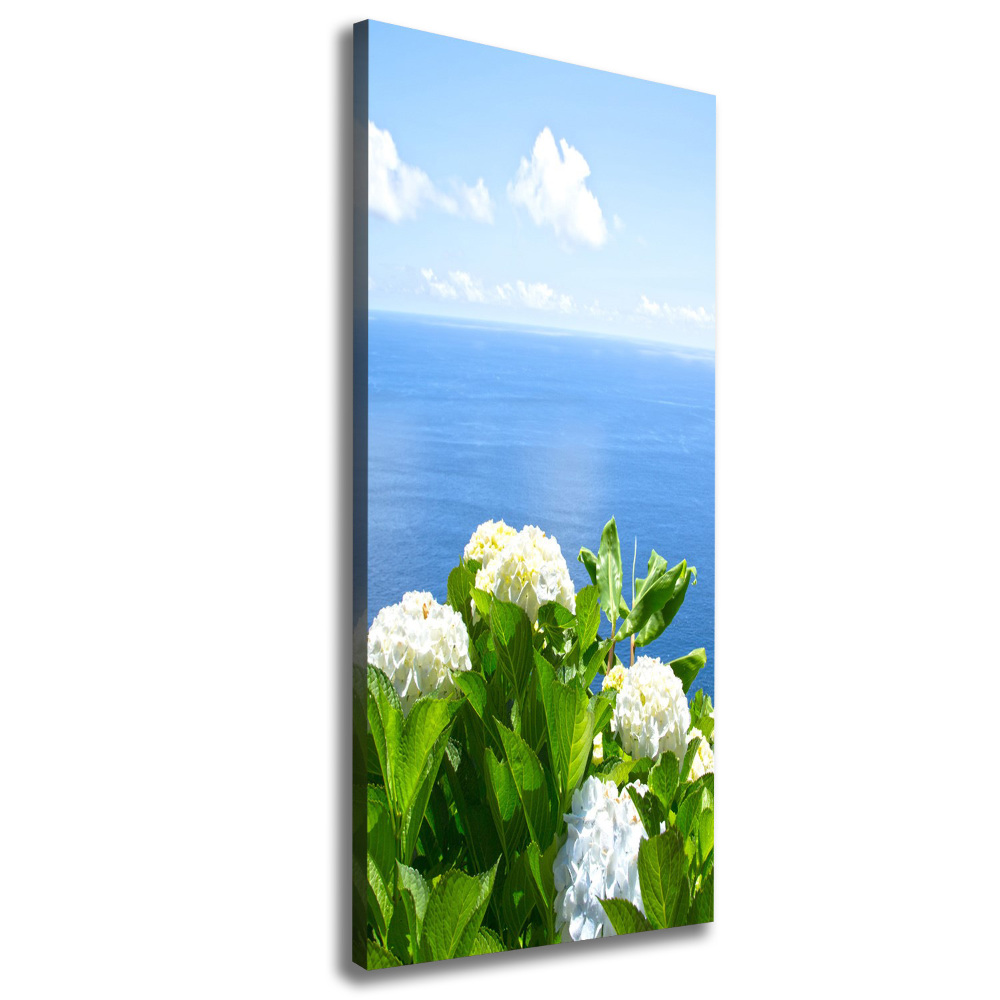 Tableau sur toile Hortensia de mer