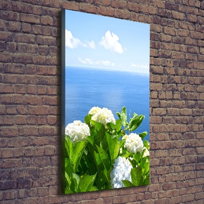 Tableau sur toile Hortensia de mer