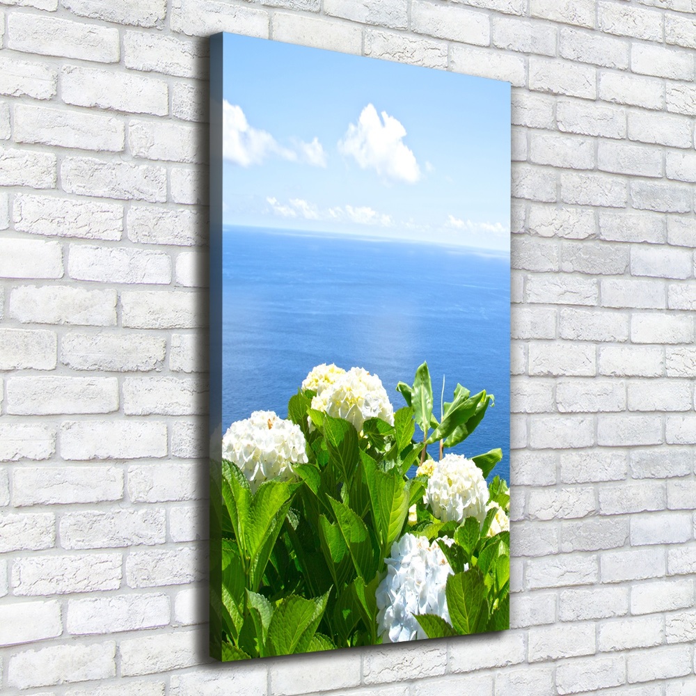 Tableau sur toile Hortensia de mer