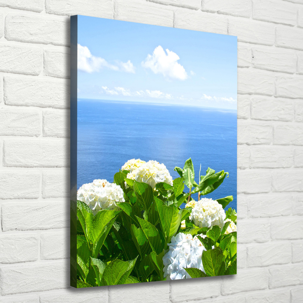 Tableau sur toile Hortensia de mer