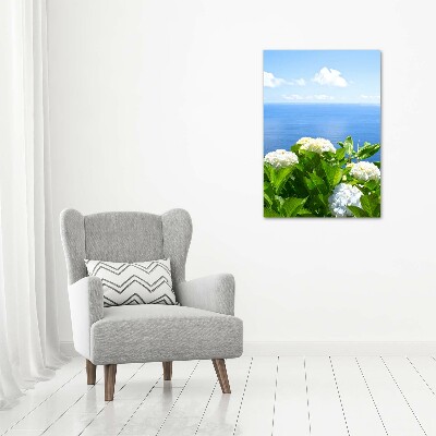 Tableau sur toile Hortensia de mer