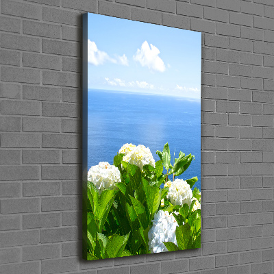 Tableau sur toile Hortensia de mer