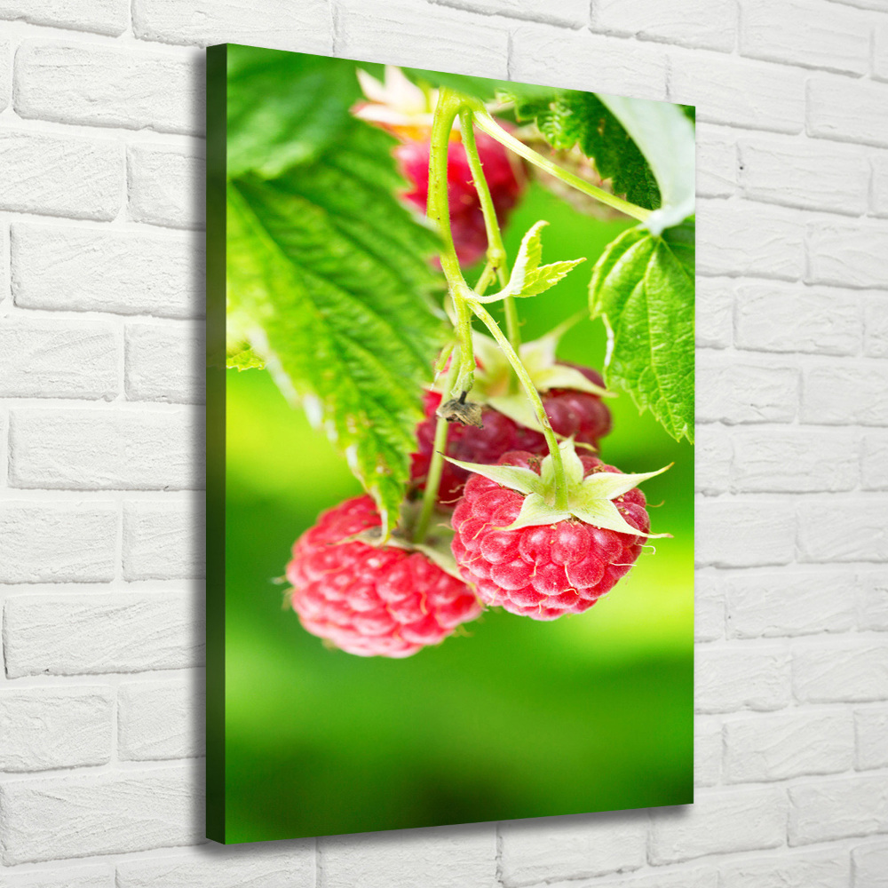 Tableau imprimé sur toile Framboises sur le buisson