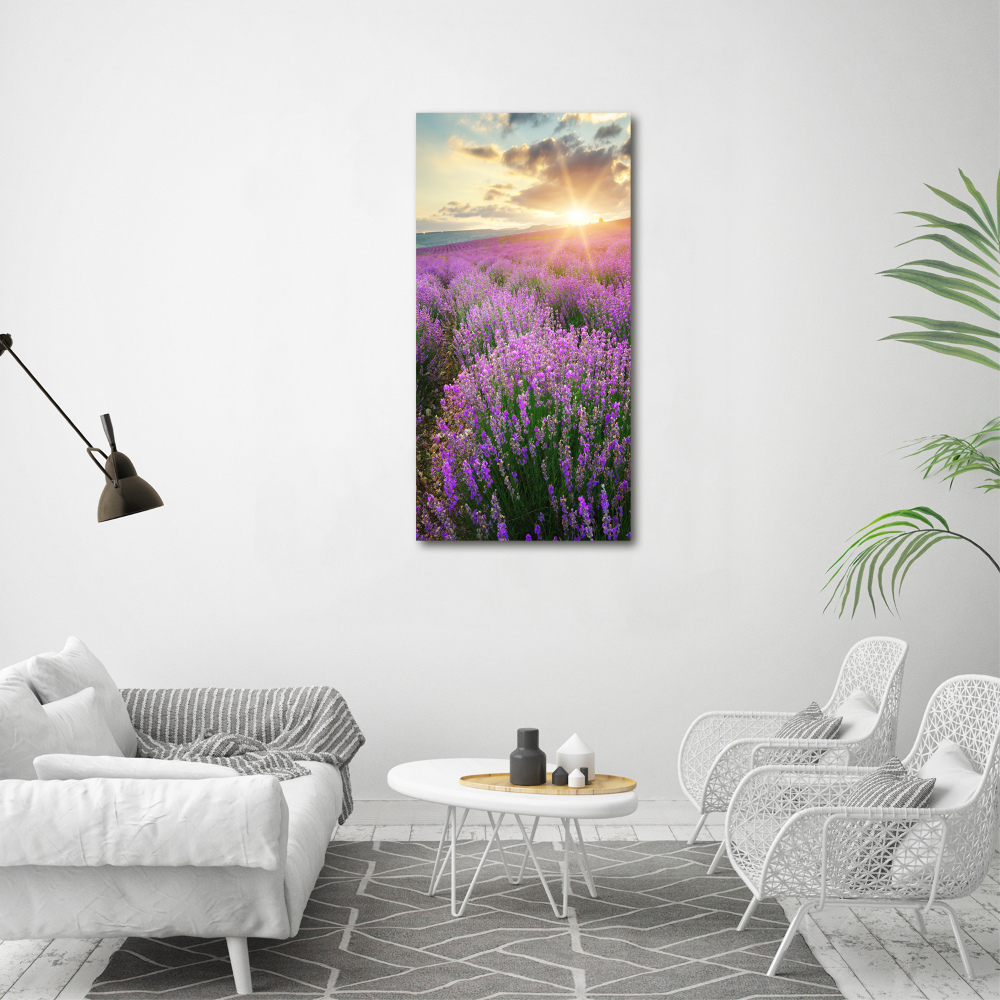 Tableau photo sur toile Champ de lavande