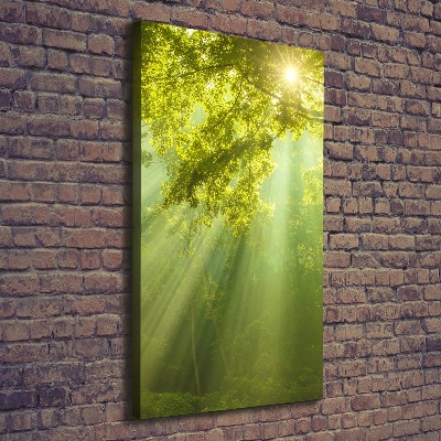 Tableau toile imprimée Soleil dans la forêt