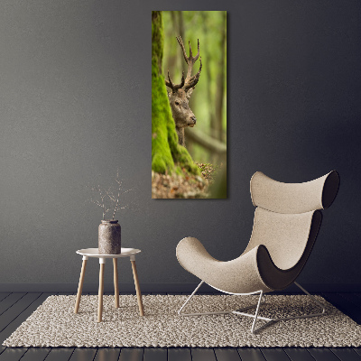 Tableau imprimé sur toile Cerf