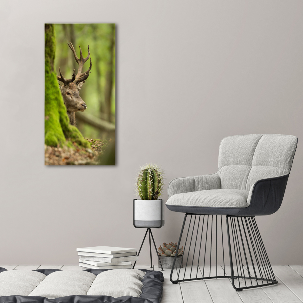 Tableau imprimé sur toile Cerf