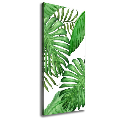 Tableau photo sur toile Feuille de monstera fond foncé