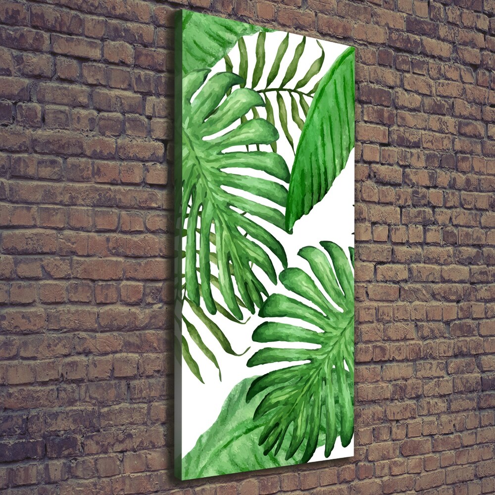 Tableau photo sur toile Feuille de monstera fond foncé