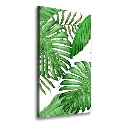 Tableau photo sur toile Feuille de monstera fond foncé