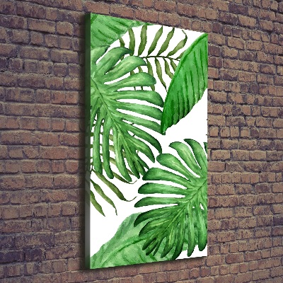 Tableau photo sur toile Feuille de monstera fond foncé