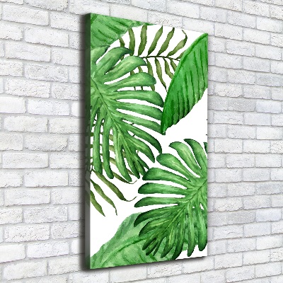 Tableau photo sur toile Feuille de monstera fond foncé