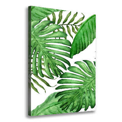 Tableau photo sur toile Feuille de monstera fond foncé