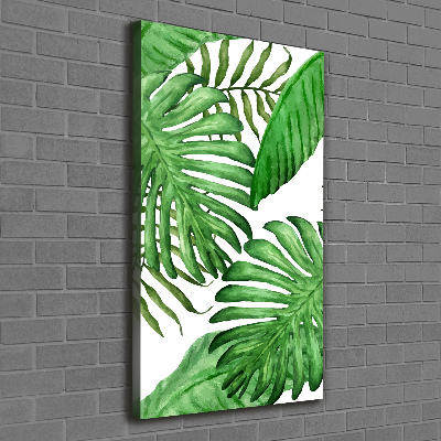 Tableau photo sur toile Feuille de monstera fond foncé