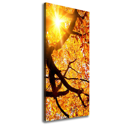 Tableau mural sur toile Arbre d'automne