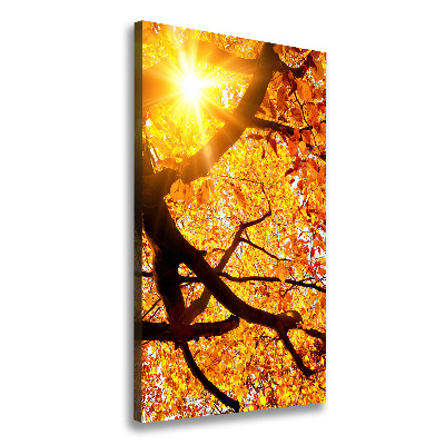 Tableau mural sur toile Arbre d'automne