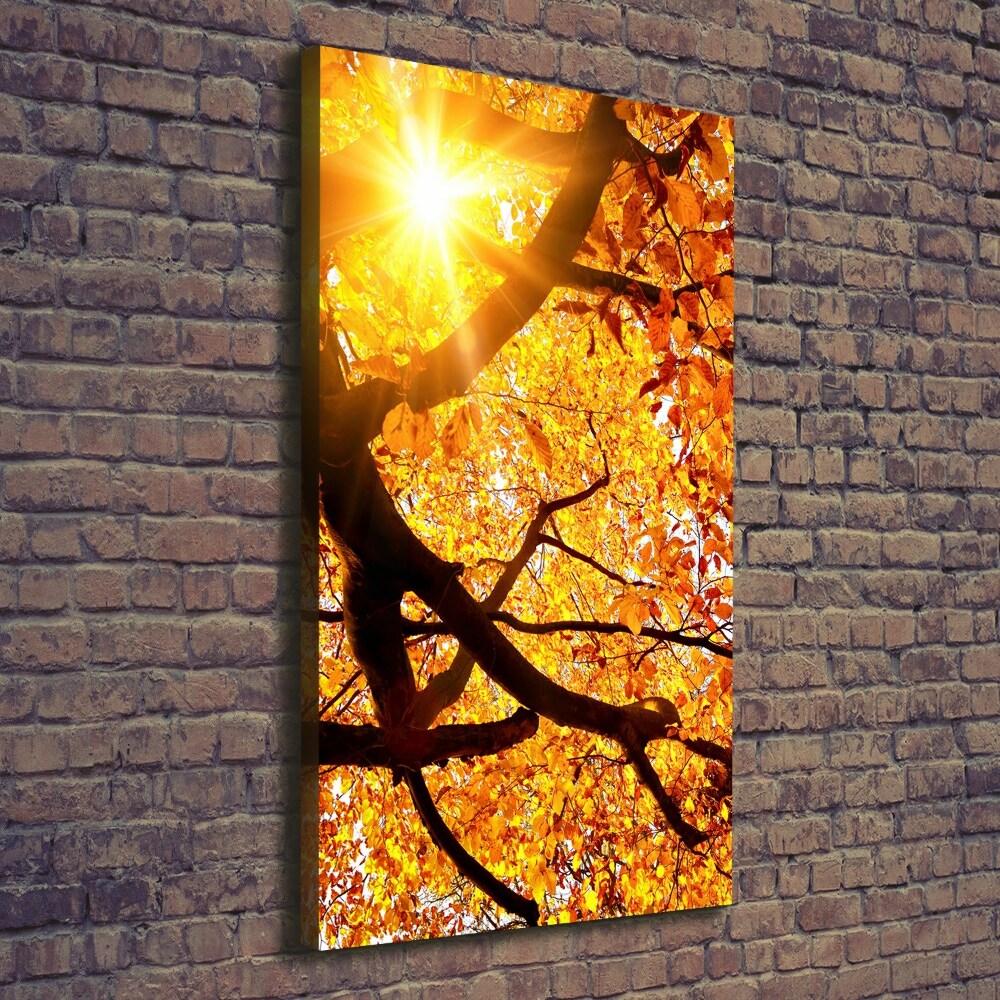 Tableau mural sur toile Arbre d'automne