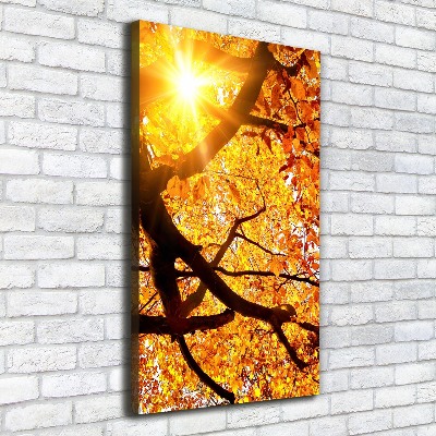 Tableau mural sur toile Arbre d'automne