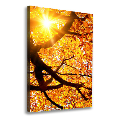 Tableau mural sur toile Arbre d'automne