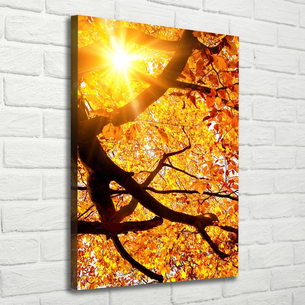 Tableau mural sur toile Arbre d'automne