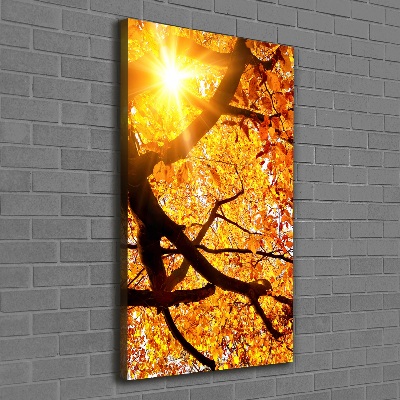 Tableau mural sur toile Arbre d'automne