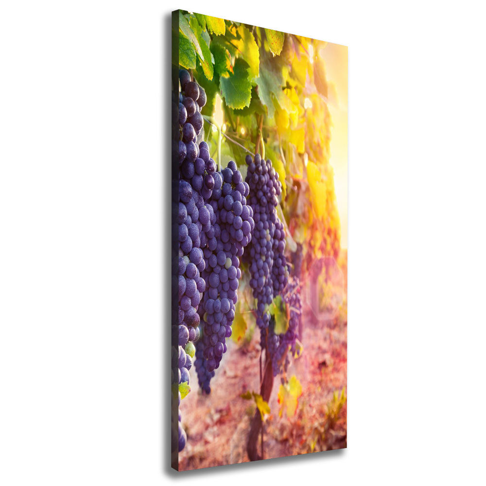 Tableau sur toile Vignoble