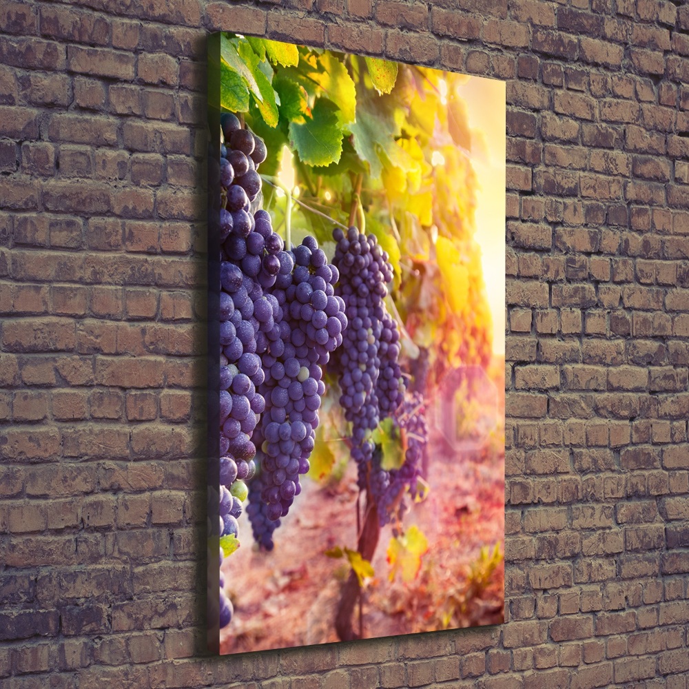 Tableau sur toile Vignoble