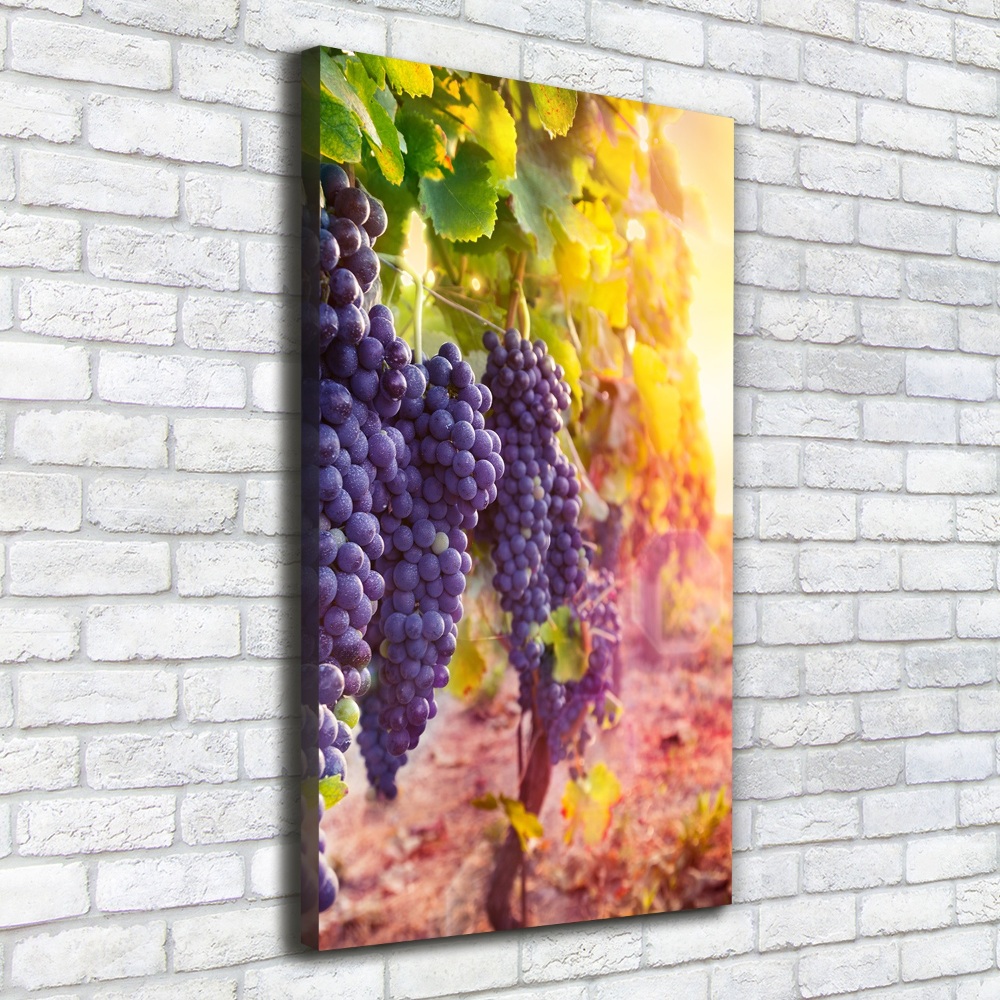 Tableau sur toile Vignoble