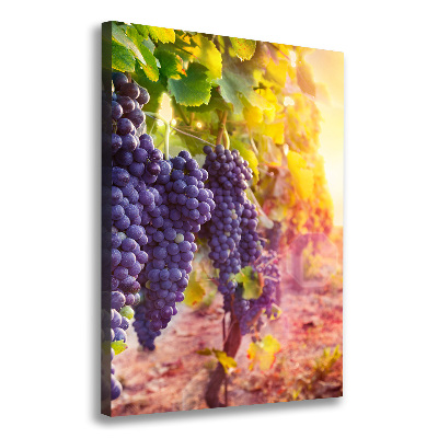 Tableau sur toile Vignoble