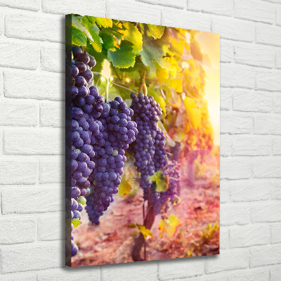 Tableau sur toile Vignoble