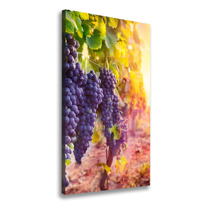 Tableau sur toile Vignoble