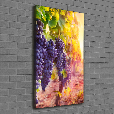 Tableau sur toile Vignoble