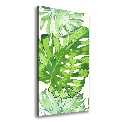 Tableau sur toile Feuille de monstera