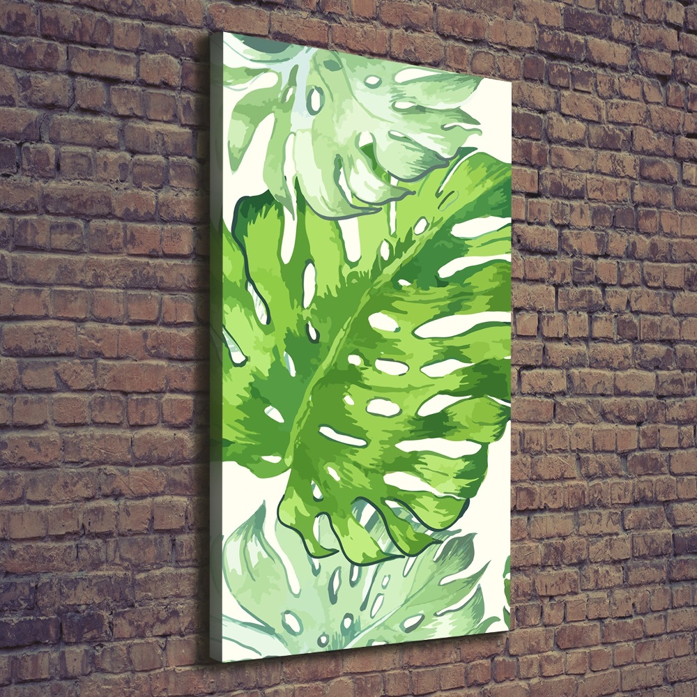 Tableau sur toile Feuille de monstera