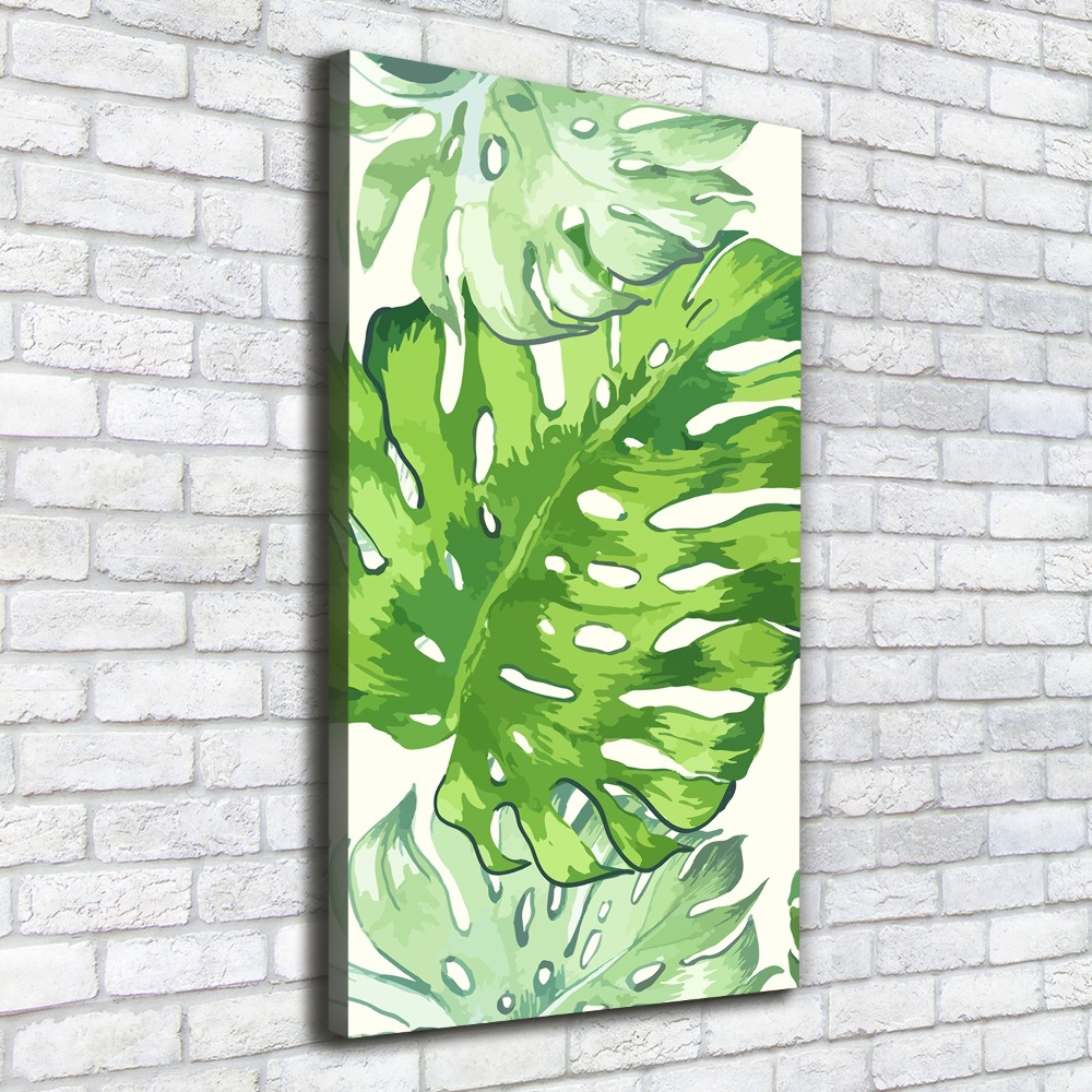 Tableau sur toile Feuille de monstera