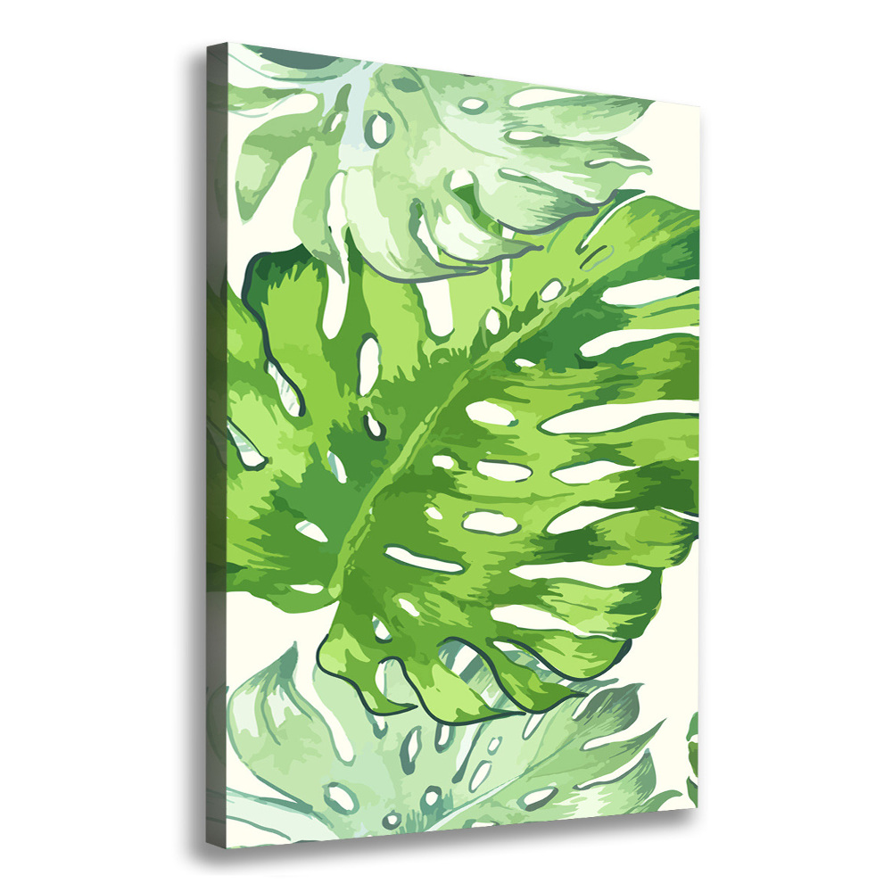 Tableau sur toile Feuille de monstera