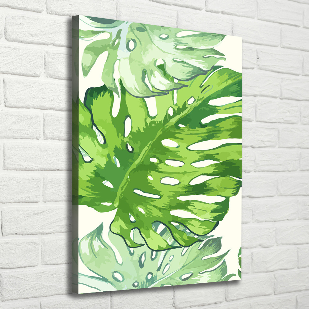 Tableau sur toile Feuille de monstera