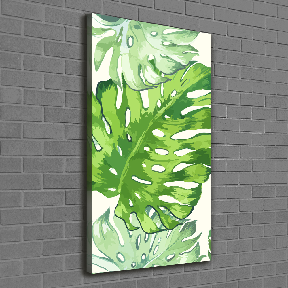 Tableau sur toile Feuille de monstera