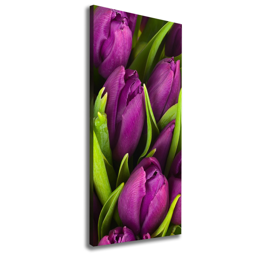 Tableau sur toile Tulipes mauves