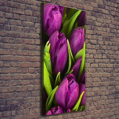 Tableau sur toile Tulipes mauves