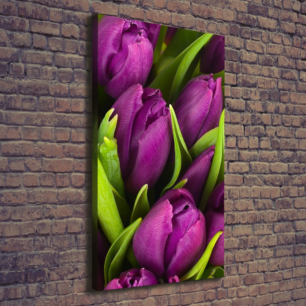 Tableau sur toile Tulipes mauves