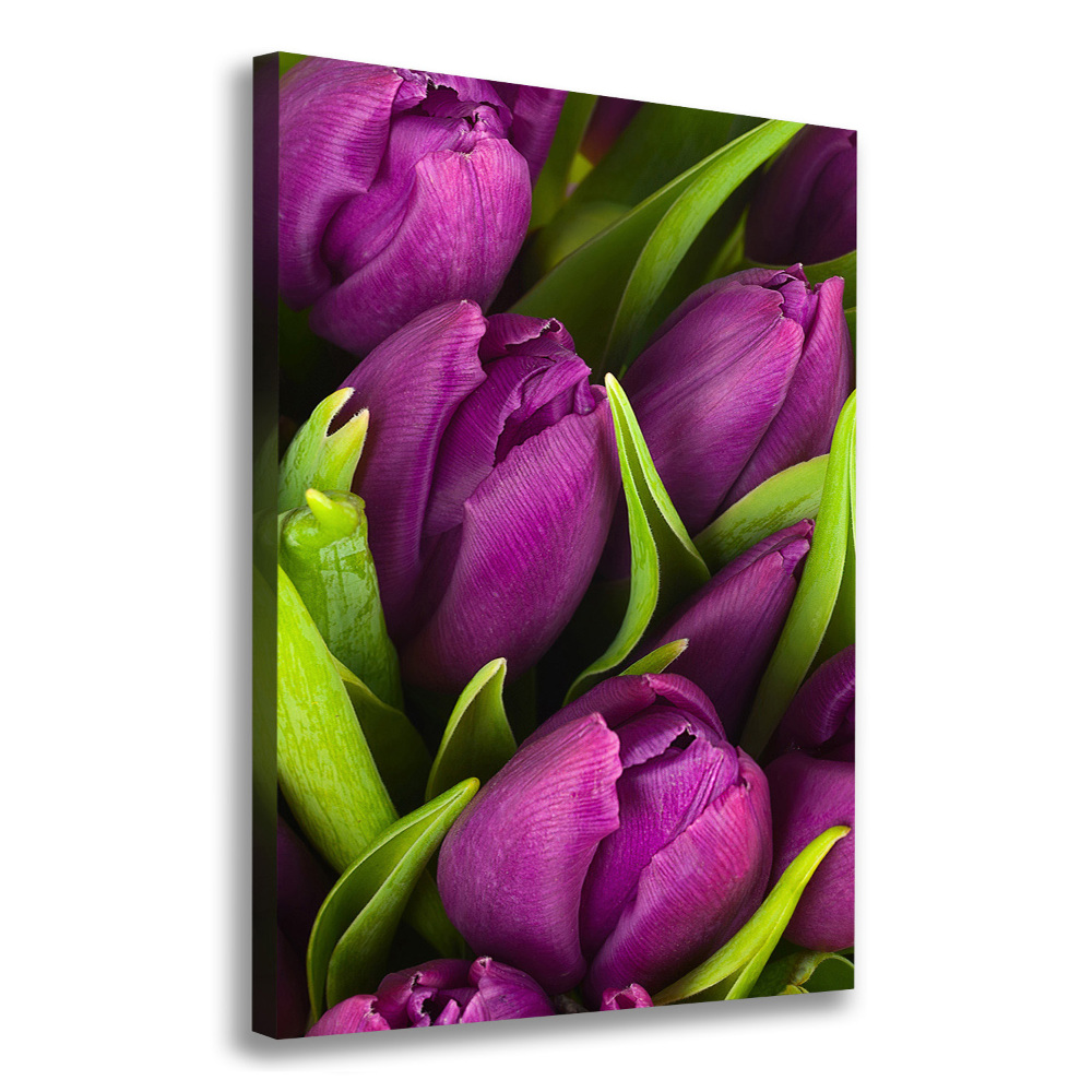 Tableau sur toile Tulipes mauves