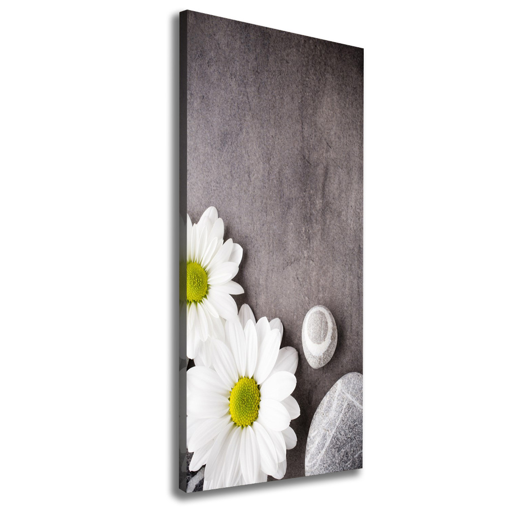 Tableau mural sur toile Gerbera