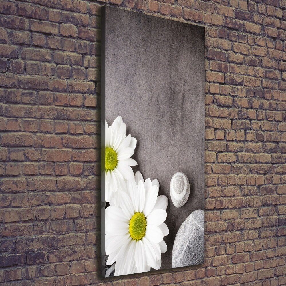 Tableau mural sur toile Gerbera