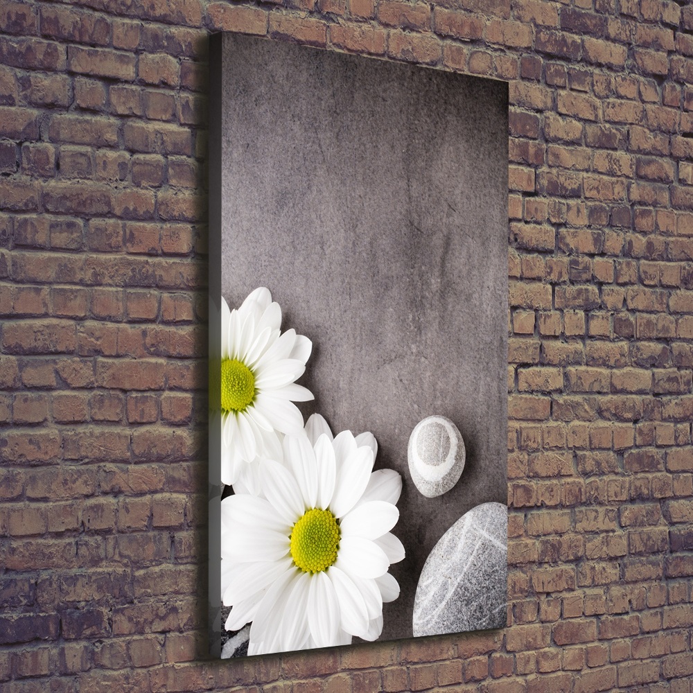 Tableau mural sur toile Gerbera