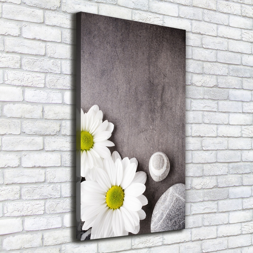 Tableau mural sur toile Gerbera