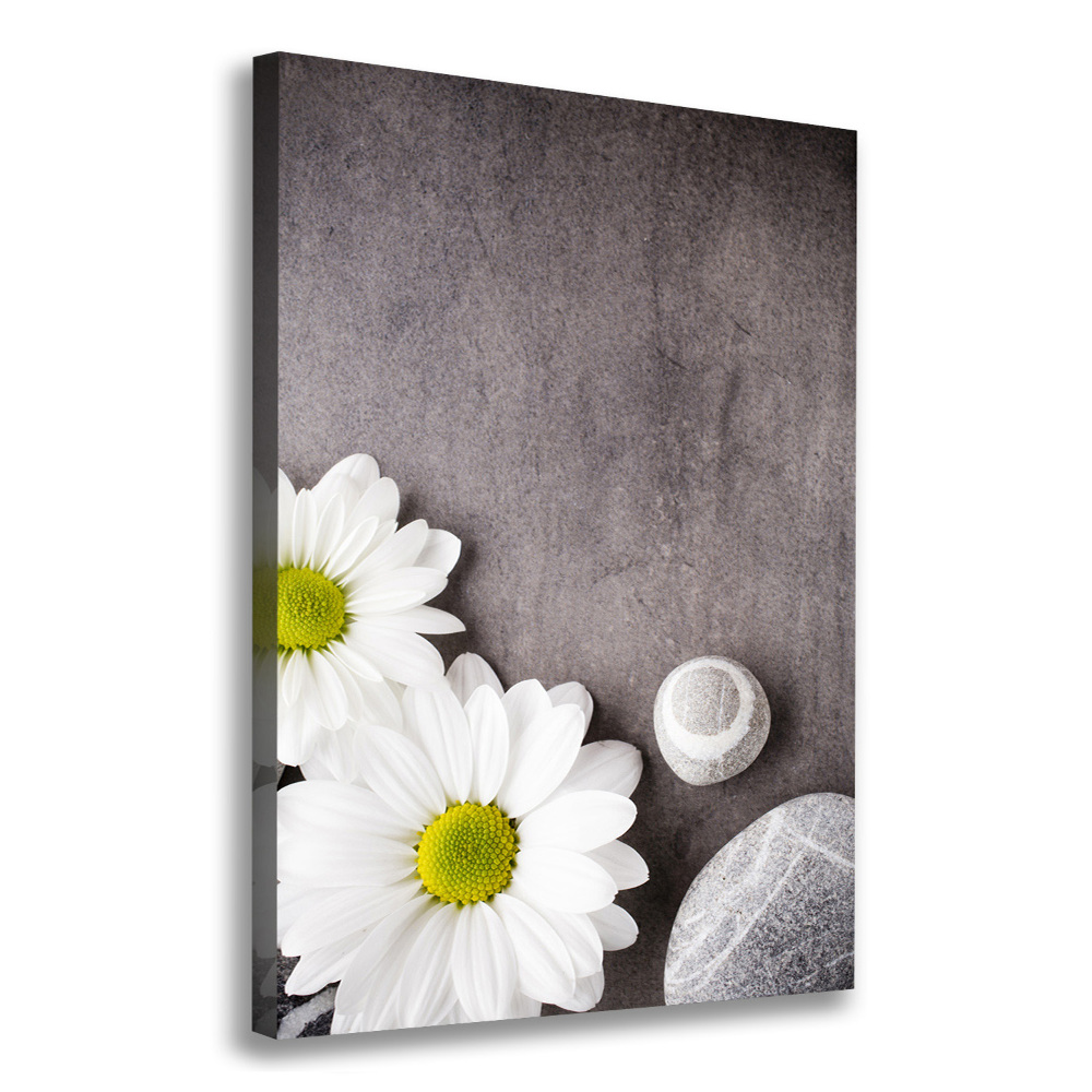 Tableau mural sur toile Gerbera