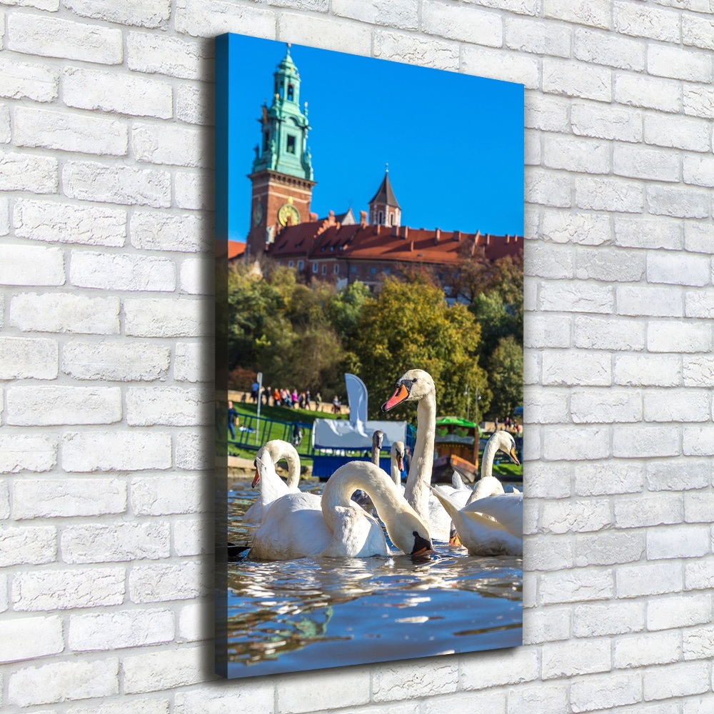 Tableau sur toile Cracovie Pologne