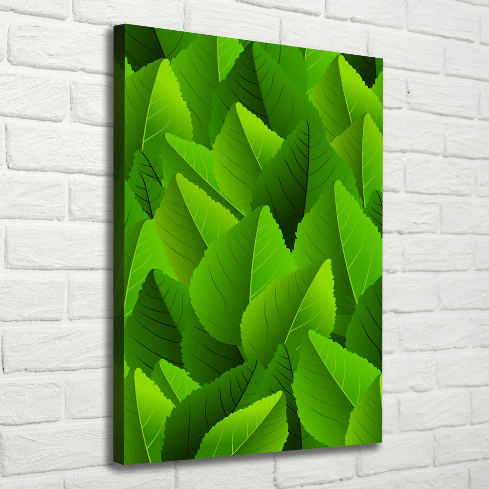 Tableau photo sur toile Feuille verte